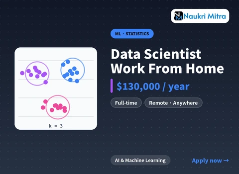 Data Scientist Work From Home
