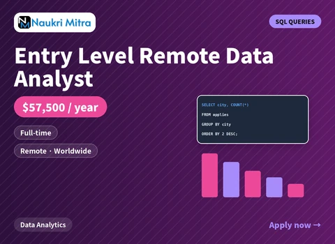 Entry Level Remote Data Analyst