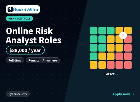 Online Risk Analyst Roles