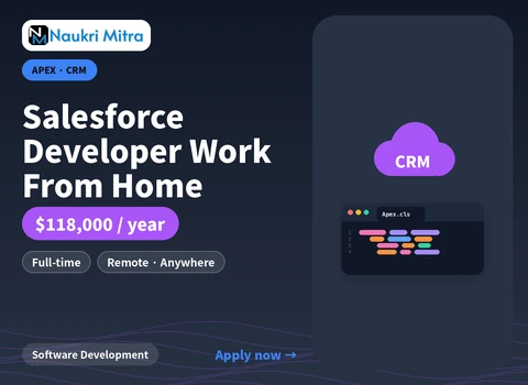 Salesforce Developer Work From Home