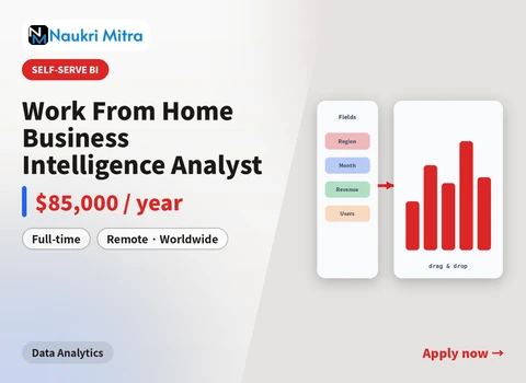 Work From Home Business Intelligence Analyst