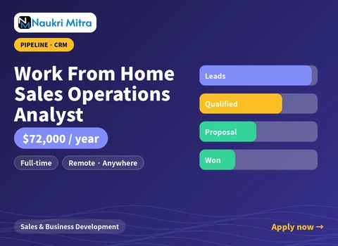 Work From Home Sales Operations Analyst